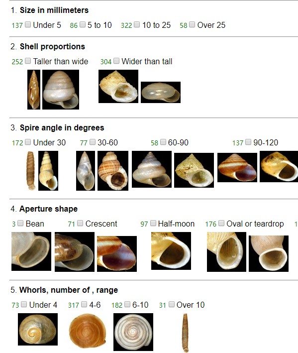 介绍一些贝壳资源网站