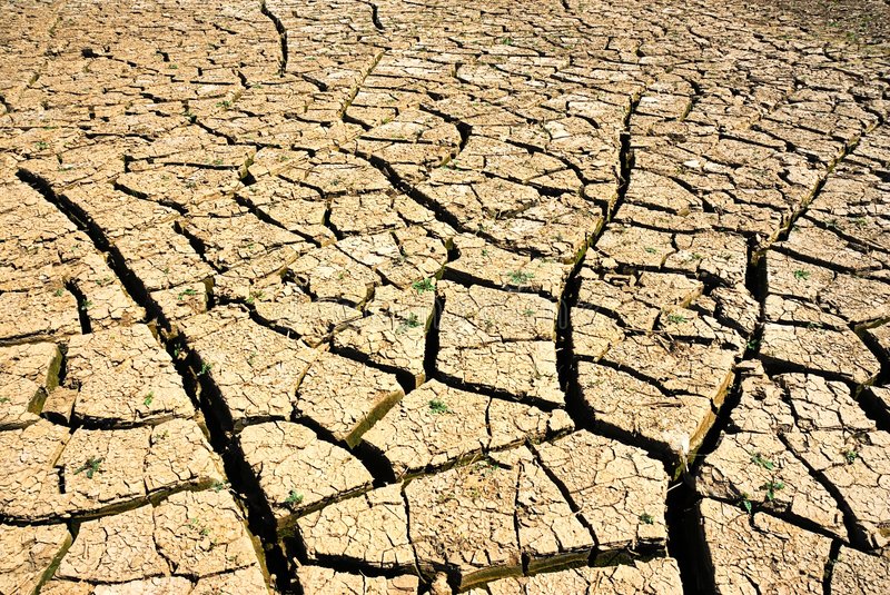 蜗牛爱湿润但碰上干旱怎么办
